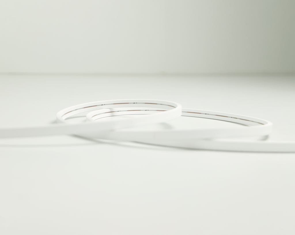 TIRA NEÓN 06x12 10W/m IP67