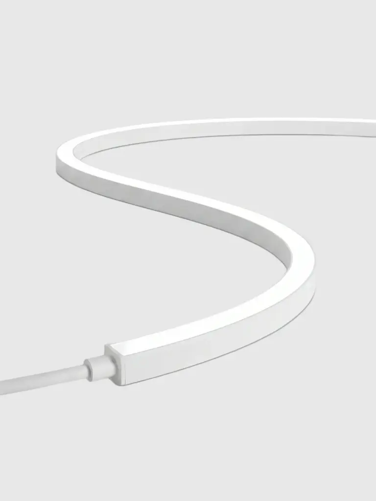 Tira Neón 10X10 10W/M Ip67