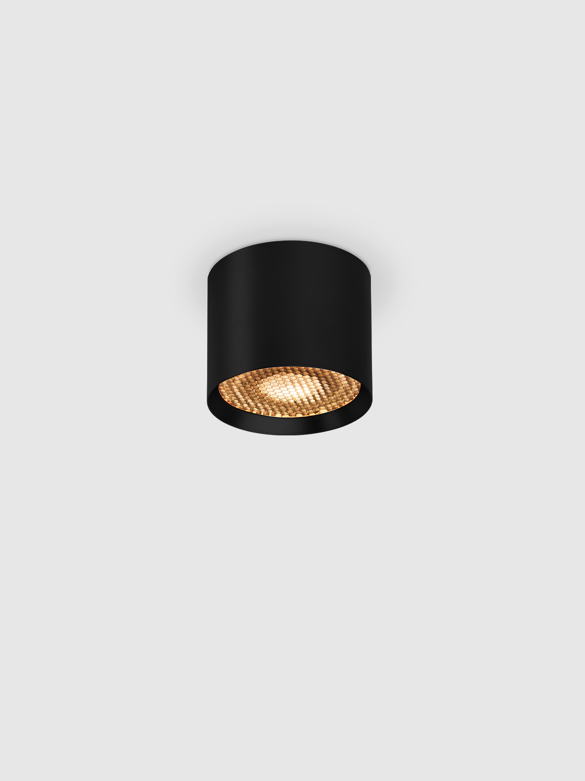 Pau