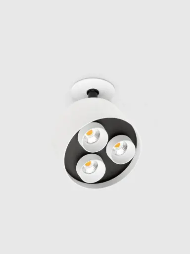 Got Proyector Recessed